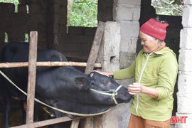 Hành trình giảm nghèo bền vững ở Mai Phụ