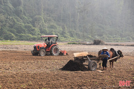 Nông dân hối hả sản xuất vụ lạc xuân