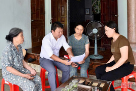 Đi tìm sự thật phía sau những lá đơn