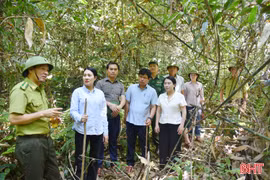 Huy động các nguồn lực để bảo vệ rừng tại gốc, không để xảy ra cháy rừng