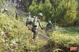 Quyết liệt ngăn cháy rừng phòng hộ sông Ngàn Phố