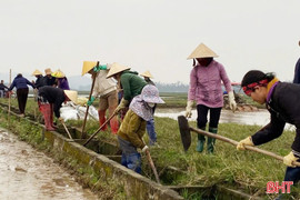 Các xã biển hối hả xây dựng NTM, chỉnh trang xóm làng đón Tết