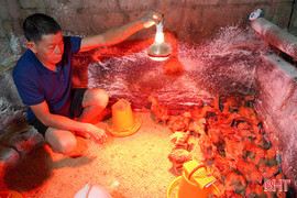 Chính sách giảm nghèo - động lực phát triển bền vững ở Việt Xuyên