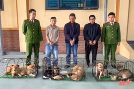 Còn ăn thịt chó thì còn... trộm chó!?