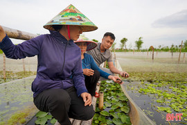 Lan tỏa mô hình "Nông dân dạy nông dân làm giàu" – từ sản xuất giỏi đến phát triển bền vững