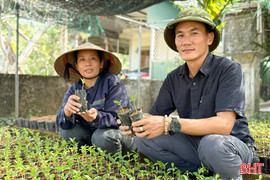 Nghỉ hưu nhưng không nghỉ việc