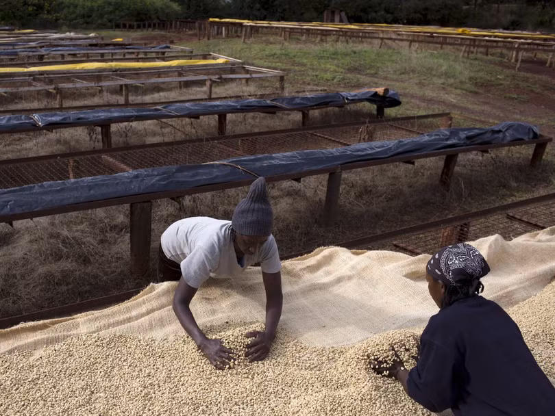 viet nam lot top 10 thi truong cheo lai tang truong kinh te the gioi 10 nam toi