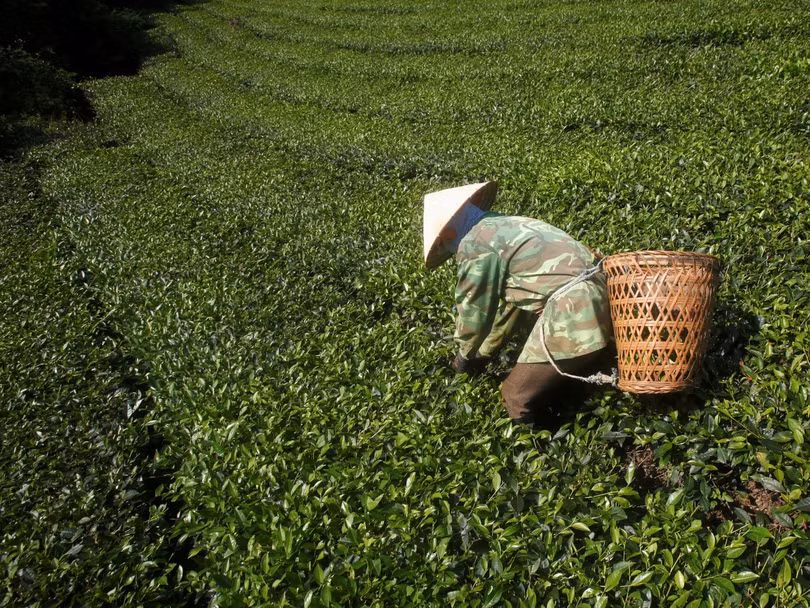 viet nam lot top 10 thi truong cheo lai tang truong kinh te the gioi 10 nam toi