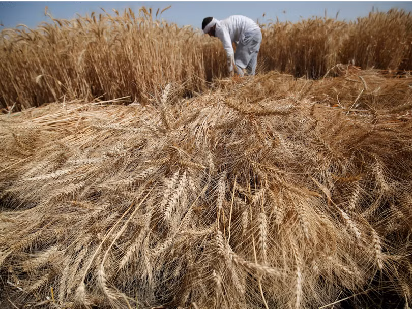 viet nam lot top 10 thi truong cheo lai tang truong kinh te the gioi 10 nam toi