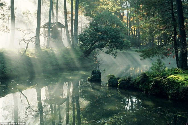 nhung khu vuon dep nhu truyen than tien tren the gioi