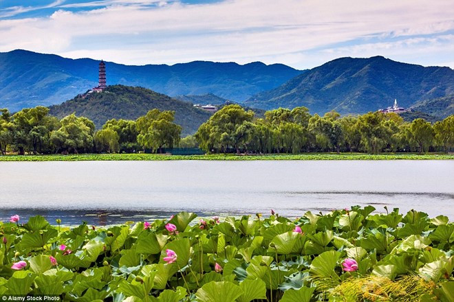 nhung khu vuon dep nhu truyen than tien tren the gioi