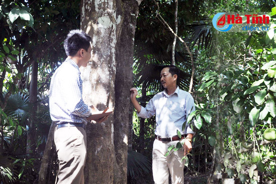 do tram rot gia nong dan vo mong