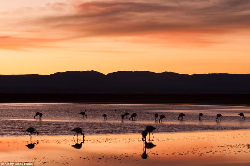 15 buc anh hoang hon dep me hon o khap noi tren the gioi