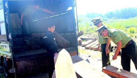 Lực lượng CSGT phát hiện trên thùng xe tải này chở 35 phach gỗ Gõ (gỗ quý nhóm 1) được che chắn tinh vi dưới các thùng nhựa đựng vỏ bia chai. Ảnh: Lao Động