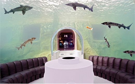 Khám phá siêu lâu đài đắt nhất hành tinh ảnh 4