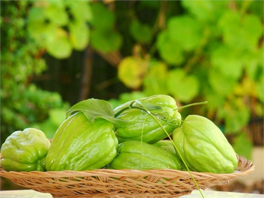 Những thực phẩm giúp bạn xinh đẹp và gợi cảm hơn ảnh 1