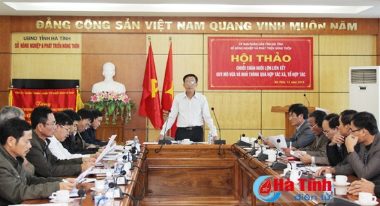 Bàn phương án phát triển chuỗi chăn nuôi lợn liên kết ảnh 1
