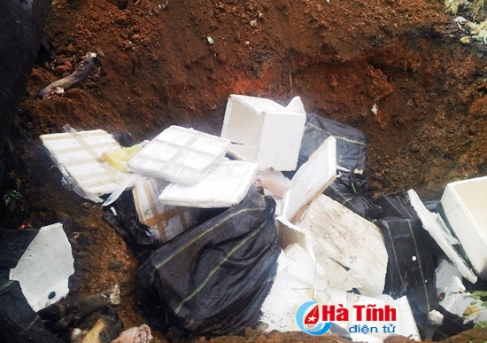 Tiêu hủy 500 kg chân trâu bò hôi thối ảnh 1