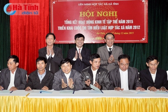 Tích cực chuyển đổi, nâng cao hiệu quả hoạt động hợp tác xã ảnh 2