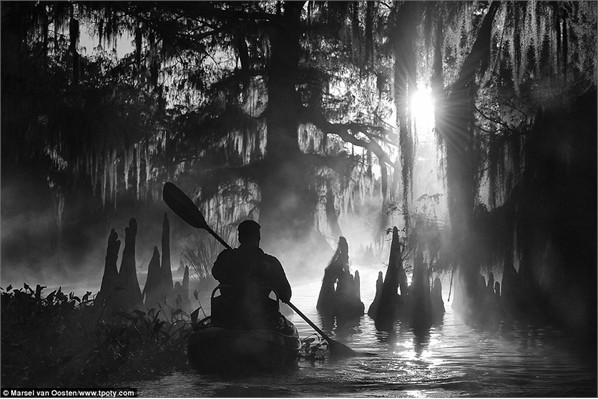 Ảnh lão nông Hưng Yên gây chú ý ở cuộc thi thế giới ảnh 10