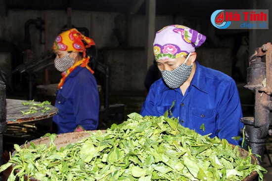 Dự án Phát triển nông nghiệp Hà Tĩnh: Hành động vì môi trường! ảnh 1 Dự án Phát triển nông nghiệp Hà Tĩnh: Hành động vì môi trường! ảnh 1