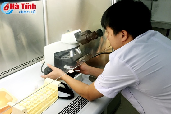 BVĐK Hà Tĩnh triển khai kỹ thuật thụ tinh nhân tạo ảnh 1