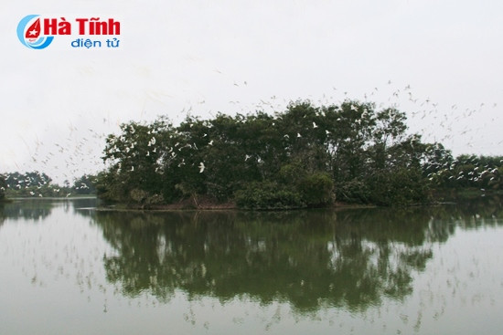 Từng đàn cò trắng gọi nhau về mỗi buổi chiều tà với tiếng kêu râm ran trên mặt hồ tĩnh lặng.