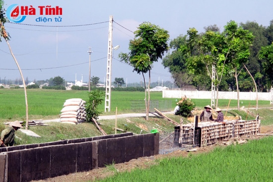 Chặng “nước rút” về đích nông thôn mới ở Đức Thọ ảnh 2