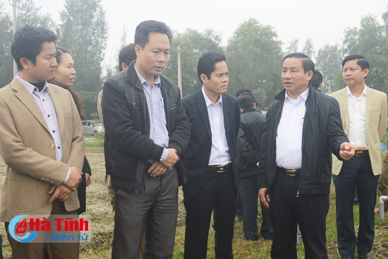 Tập trung chỉ đạo mở rộng sản xuất rau - củ - quả đạt kế hoạch đề ra ảnh 2