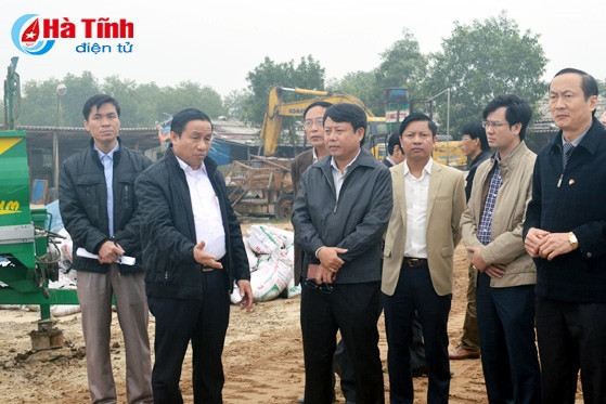 Tập trung chỉ đạo mở rộng sản xuất rau - củ - quả đạt kế hoạch đề ra ảnh 3