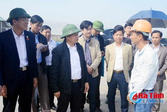 Tập trung chỉ đạo mở rộng sản xuất rau - củ - quả đạt kế hoạch đề ra ảnh 4