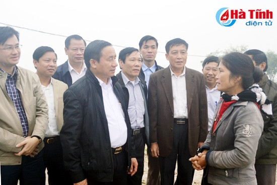 Tập trung chỉ đạo mở rộng sản xuất rau - củ - quả đạt kế hoạch đề ra ảnh 1