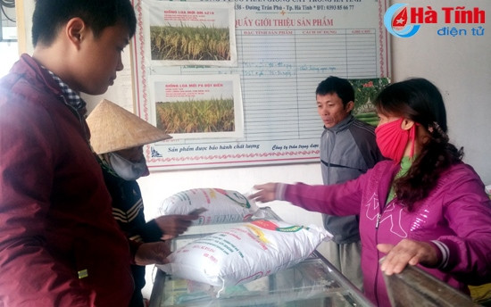 Siết chặt quản lý giống, vật tư phân bón trên địa bàn Hà Tĩnh ảnh 1 Siết chặt quản lý giống, vật tư phân bón trên địa bàn Hà Tĩnh ảnh 1