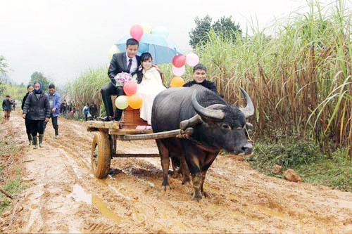 Loa hát rộn ràng, cả làng… xúc lúa! ảnh 1