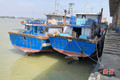 Vi phạm trong lĩnh vực thủy sản, chủ tàu cá ở Hà Tĩnh bị phạt 11 triệu đồng