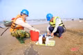 Phạt 320 triệu đồng cơ sở nuôi tôm không giấy phép môi trường