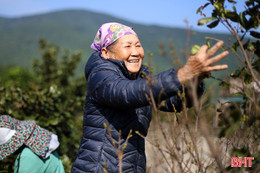 Khai thác lợi thế địa phương, Hoành Sơn đẩy nhanh mục tiêu giảm nghèo 