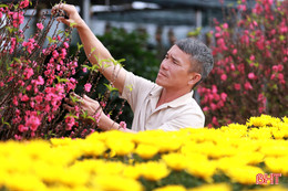 Rực rỡ sắc xuân ở đô thị trung tâm phía Nam Hà Tĩnh