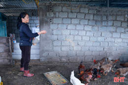 Vươn lên thoát nghèo từ mô hình kinh tế chăn nuôi tổng hợp