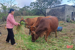 Điểm tựa giúp người dân phường Vũng Áng tiếp cận tín dụng ưu đãi