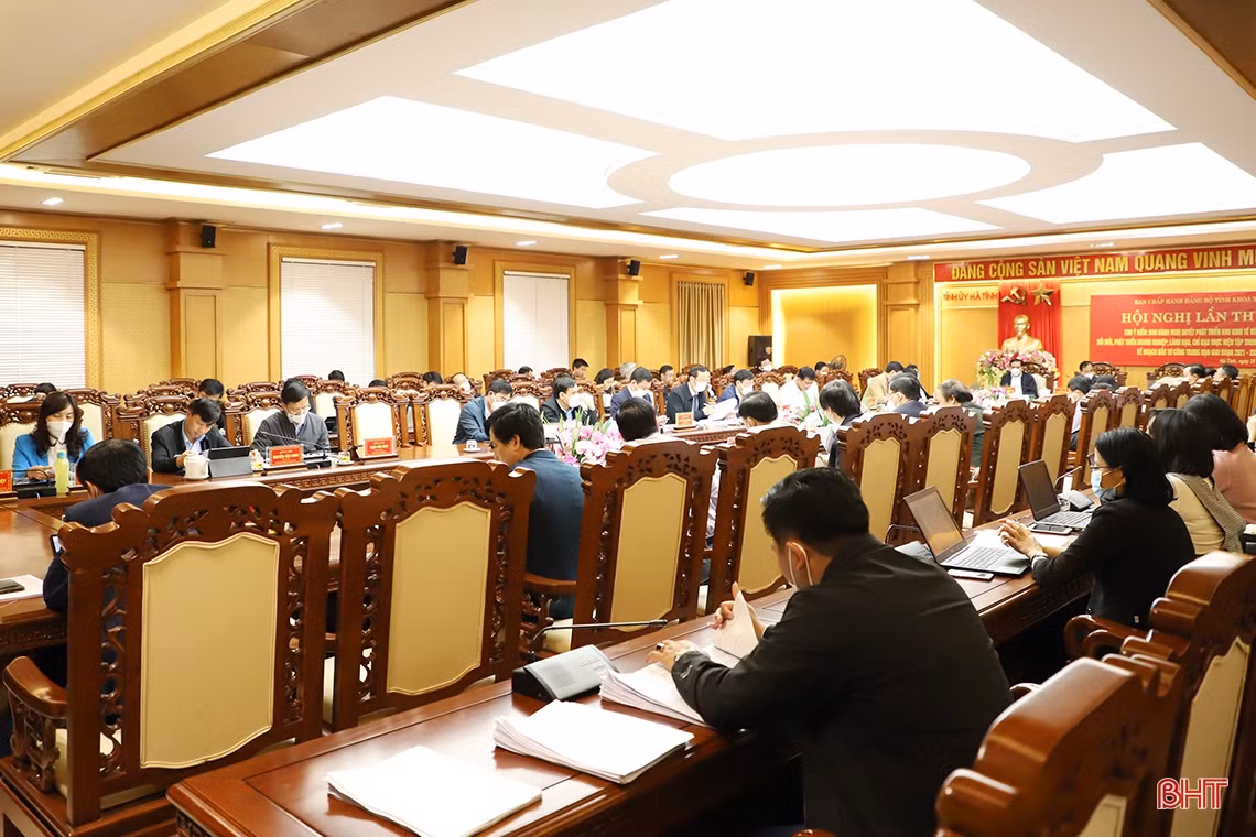 Cho ý kiến ban hành các nghị quyết quan trọng phát triển kinh tế Hà Tĩnh