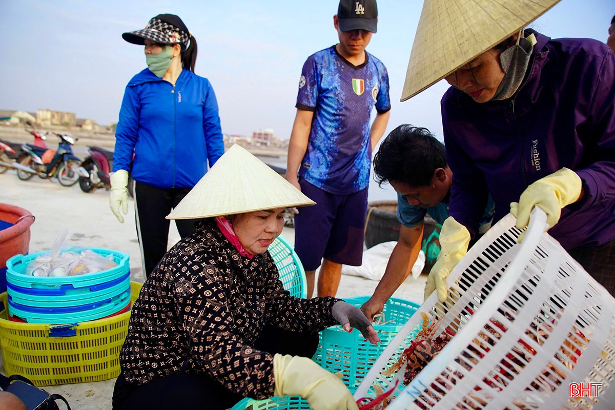 Bà Nguyễn Thị Lan (xã Cẩm Nhượng, Cẩm Xuyên) - chủ cơ sở mua bán hải sản Nam Lan cho biết: "Mùa du lịch, nhu cầu tiêu thụ hải sản tăng cao. Vì vậy, chúng tôi cũng làm việc liên tục để đảm bảo nguồn cung cho các nhà hàng trên địa bàn và các vùng lân cận. Trung bình mỗi ngày, tôi thu mua từ 1 - 2 tấn hải sản các loại. Dịp này, thời tiết thuận lợi, ngư dân đánh bắt được nhiều loại hải sản, giá bán cao nên việc mua bán cũng thuận tiện hơn". Bà Nguyễn Thị Lan (xã Cẩm Nhượng, Cẩm Xuyên) - chủ cơ sở mua bán hải sản Nam Lan cho biết: "Mùa du lịch, nhu cầu tiêu thụ hải sản tăng cao. Vì vậy, chúng tôi cũng làm việc liên tục để đảm bảo nguồn cung cho các nhà hàng trên địa bàn và các vùng lân cận. Trung bình mỗi ngày, tôi thu mua từ 1 - 2 tấn hải sản các loại. Dịp này, thời tiết thuận lợi, ngư dân đánh bắt được nhiều loại hải sản, giá bán cao nên việc mua bán cũng thuận tiện hơn".