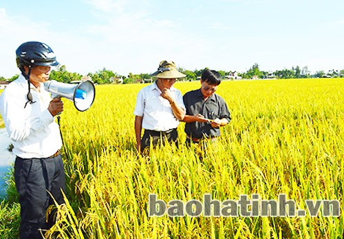 Mô hình sản xuất CĐM giống lúa DT68 tại xã Cẩm Bình (Cẩm Xuyên)