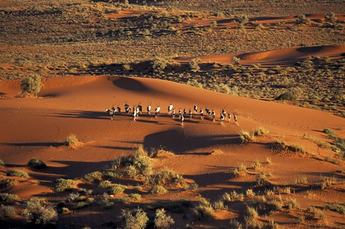 Sa mạc Kalahari. Ảnh: namibia- tours.
