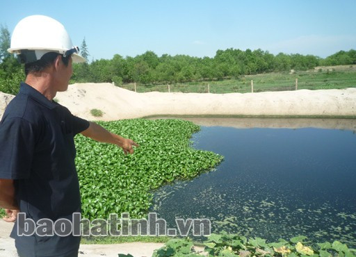 Cách đây chưa lâu, trại lợn ở Cẩm Hòa (Cẩm Xuyên) gây bức xúc vì ô nhiễm môi trường nghiêm trọng