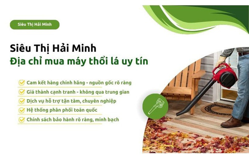 may-thoi-la-3.jpg