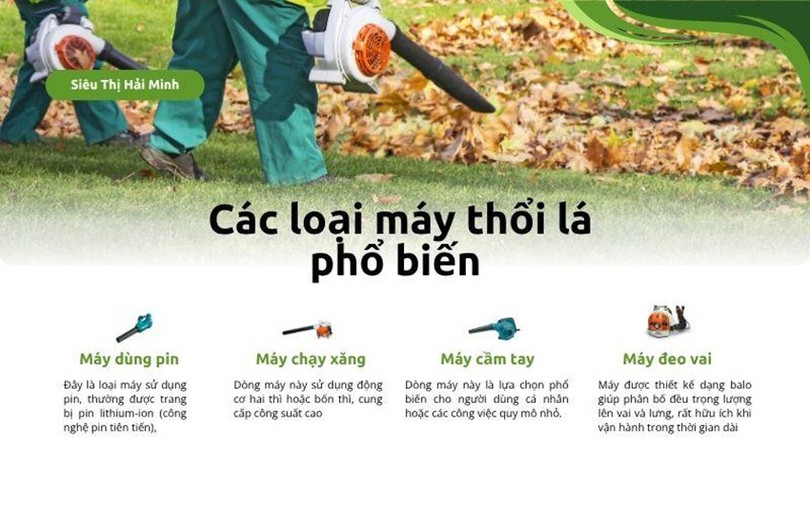 may-thoi-la-2.jpg