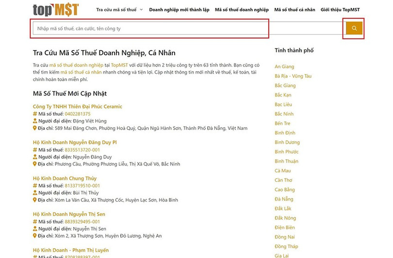 ma-so-thue-4.jpg