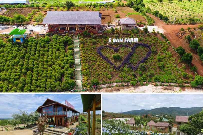 Liên hệ đặt tour đi Măng Đen từ Quảng Ngãi uy tín. tour-mang-den-3.jpg