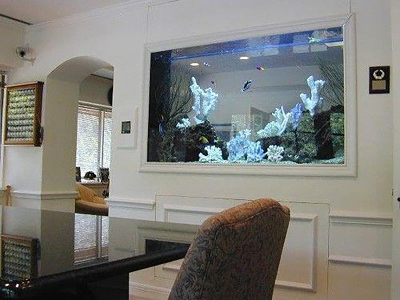 Có thể chọn bể cá treo tường bằng kính hoặc acrylic lap-be-ca-2.jpg